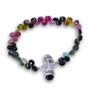 Totally Tubular 2026: Spring-Loaded Telescoping Clasp (Oct. 10, 2026 - 1-Day Live, Virtual Workshop)